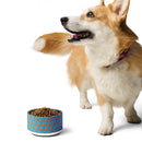 Corgi next to a colorful dog bowl filled with kibble on a white background.