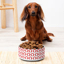 Dachshund sitting beside a bowl filled with dog food on a light-colored floor