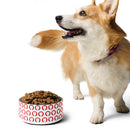 Corgi dog beside a bowl of kibble with a colorful collar on a white background.