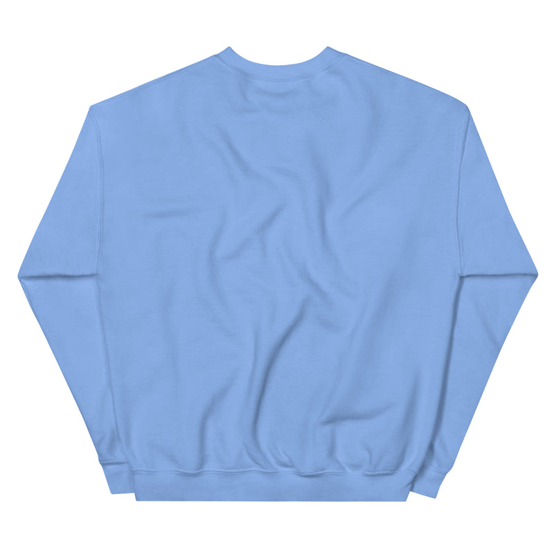 Back view of the light blue sweatshirt laid flat; no text or graphics are visible on the back.