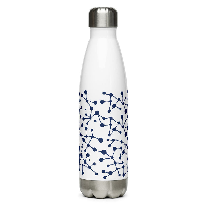 Hidden Brain: Stainless Bottle